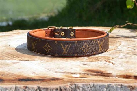 pet louis vuitton|louis vuitton collar for dog.